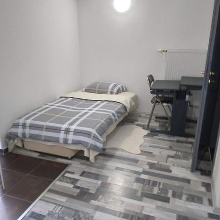 Studio Unique Apartment ทิมิชัวรา ภายนอก รูปภาพ