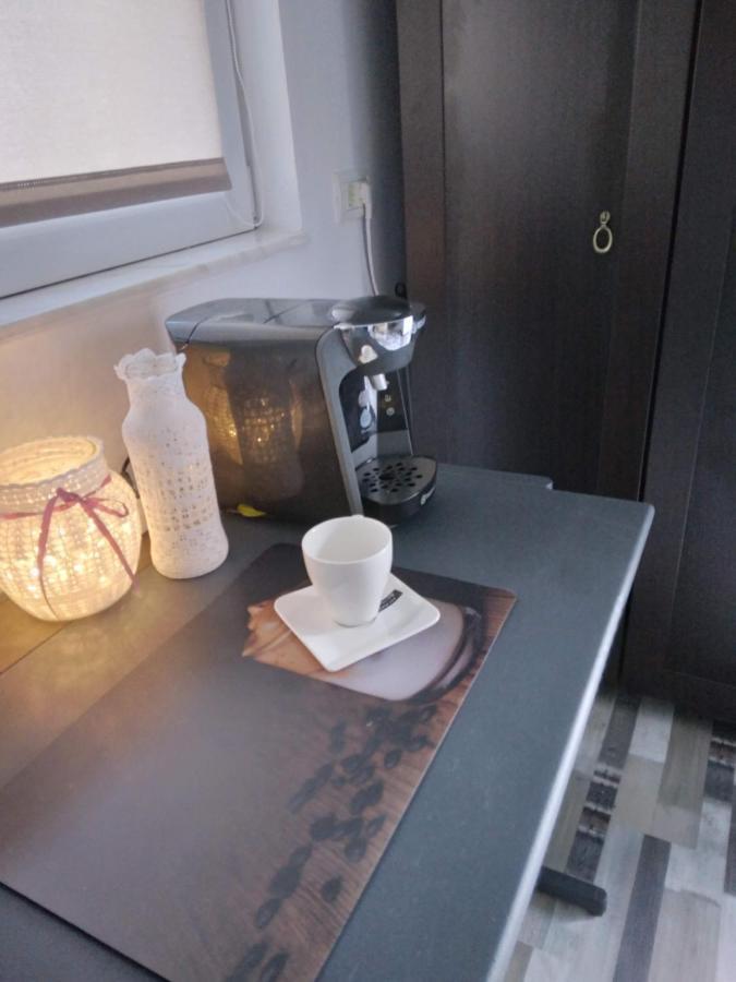 Studio Unique Apartment ทิมิชัวรา ภายนอก รูปภาพ